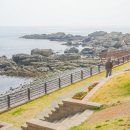시기3소공원 네이버블로그