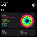 핏다이어트캠프 재입소 일기(D+4) - 지또띠 줌바 영상 공개
