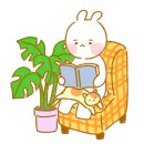 광주세종 이미지