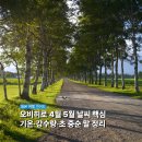 강수목장 | 오비히로 날씨 총정리 4월 5월 여행 준비 체크리스트