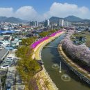 양지천3 이미지