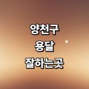 양천구 근처 용달이사 잘하는곳 추천 전문업체 화물용달 견적 소형 렌트 퀵서비스 가격 침대 후기 운송