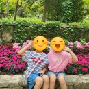 엠에프엠섬유패션학원 | [성조숙증 7화] 억제주사 + 성장주사 병행 중, 우리 딸의 감정 기복과 심리 변화