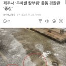 제주서 ‘무차별 칼부림’ 출동 경찰관 ‘중상’ 이미지