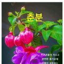 주식회사 절기 이미지