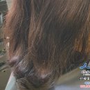신세대미용실 - 상주시 | 신세대미용실