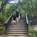 벽운클럽 | 지하철로 갈 수 있는 서울 계곡 피서지ㅣ수락산 벽운계곡 ㅣ선녀탕 가는 길