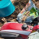 대수농장 이미지