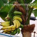 영동군_실내테니스장 이미지