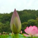 화개카센타 이미지