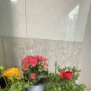 금호1농장 이미지