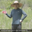 이유농장 이미지