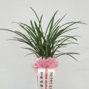 신월동193 이미지