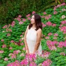 렌트투어 | 세부 시티투어 렌트 일정 인생샷 코스 추천 후기