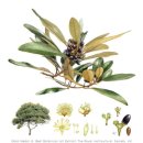 아트과학 이미지