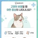 석적동물병원 이미지