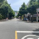 요미요미 강아지미용실 이미지