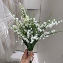 메종드레이나 이미지