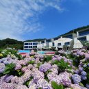 수국펜션 이미지