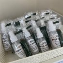 댕댕 | 삼송애견미용 댕댕구름 강아지스파 후기