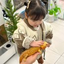 동성카프라자 | 서울 카멜레온 카페 아기랑 파충류 체험 후기 &#39;카메리네&#39;