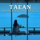 노을이내리는뜰 | 태안 만리포 카페 빙수 케이크 맛집 오션뷰 천만금카페