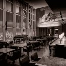 하이야트 이미지