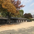 [북촌한옥마을산책]한옥&amp;단풍뷰 핫스폿11곳 3시간 코스 블루보틀까지 가을 데이트하기 좋은 곳 후기
