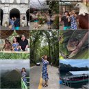 둥지농장2 | 보홀여행 단독 육상투어 알찬 8가지 코스 로컬페이지 재방문 후기