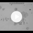 하늘 문턱에서 - 황영익 (소리새 멤버) 이미지