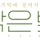 영화사 낭 이미지