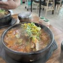 갈골 티스토리