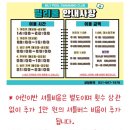 빌리풀 | 평택고덕 빌리풀 수영장 초등 유아 수영 강습