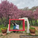 대백해물마을 이미지