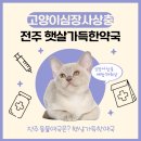 햇살가득약국 이미지