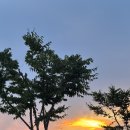 황산애견