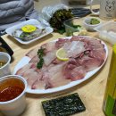 뉴캔디PC 이미지