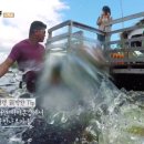 나란히 흐르다 이미지