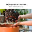 식물을 죽이는 ‘뿌리 좀먹는 벌레’.. 아직 모르세요? 이미지