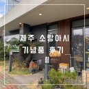 서귀포 소품샵: 아기자기 다양했던 소랑아시 소품샵&amp;선물가게 후기