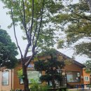 나리 야영장 옆 이미지