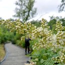 챌린지태권도장 이미지