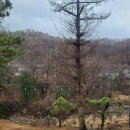 포천 까사 이미지