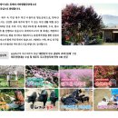 섬바위오토캠핑장 이미지