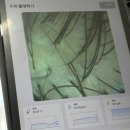 대명헤어 | [대구/남구 대명동미용실] 에이앤 대명점에서 경험한 퍼스널두피케어 후기 – 설하 디자이너님의 감성...