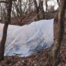 엄마사랑화장실 이미지