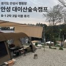 대이산 숲속 캠프 이미지