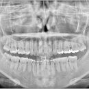 늘바른치과의원 이미지
