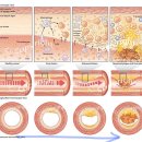 유쾌한약국 이미지