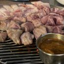 제주 한라돈